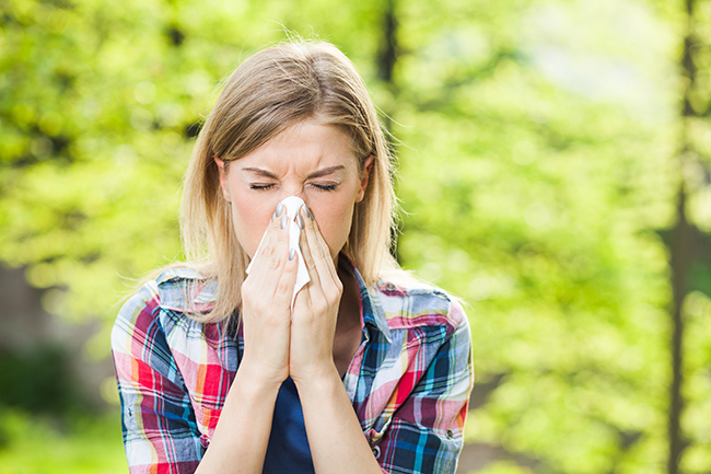 Understanding Hay Fever and Your Allergy Treatment Options