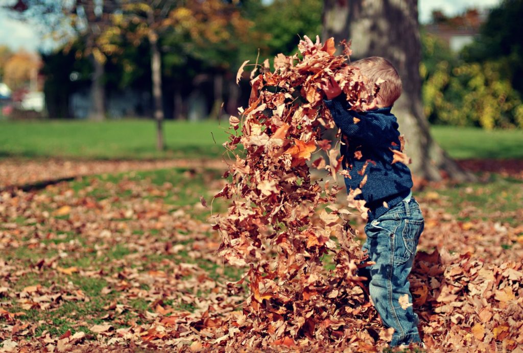 fall allergies